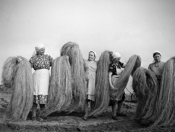 Фотография из архива ТАСС. Олег Сизов. 1964 год.