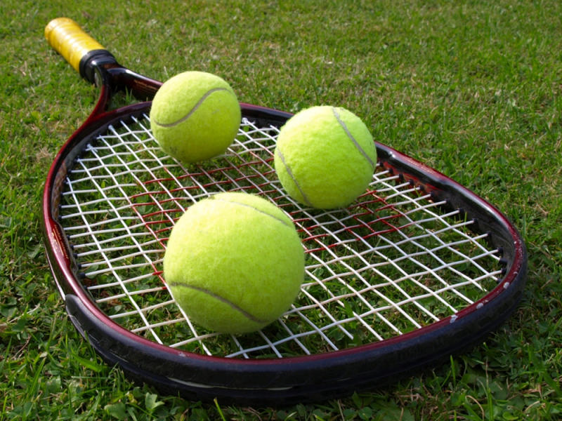 Веснина: Бегу — комбинационная теннисистка с хорошей подачей, матч будет сложным