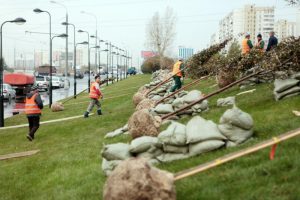Озеленение начнется во время субботника. Фото: архив «Вечерняя Москва» Озеленение начнется во время субботника. Фото: архив «Вечерняя Москва»