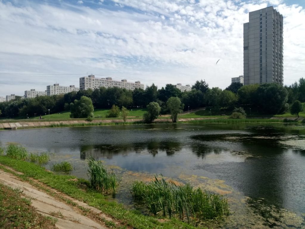Вид на водную гладь: как москвичи хотят благоустроить Варшавские пруды. Фото: Мария Иванова Вид на водную гладь: как москвичи хотят благоустроить Варшавские пруды. Фото: Мария Иванова