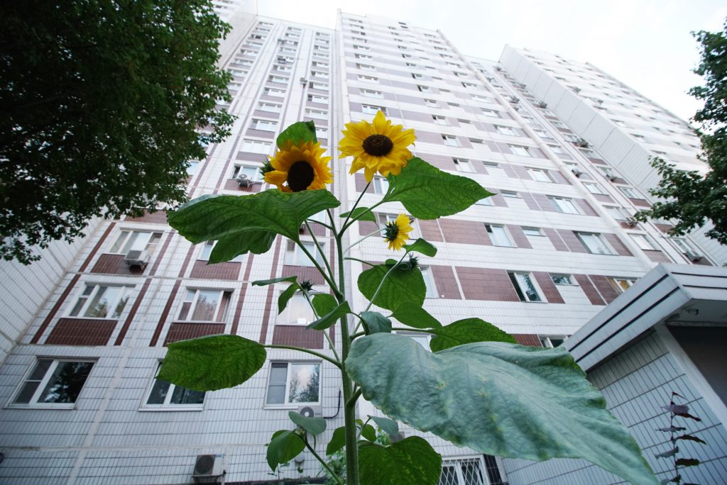 Фото: Анатолий Цымбалюк