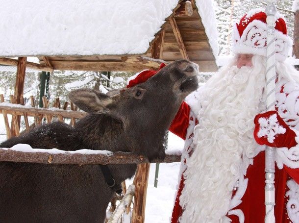 Встреча Деда Мороза в Московском Зоопарке