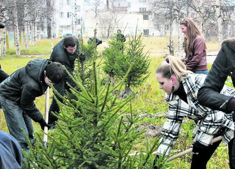 Время сажать деревья