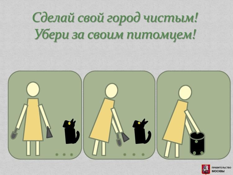 Уберите за своей собакой!