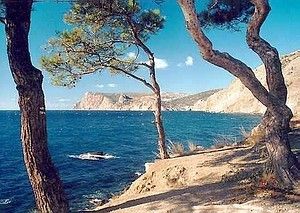 Выставка-продажа путевок на курорты Крыма