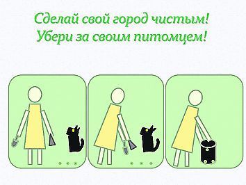 Уберите за своей собакой