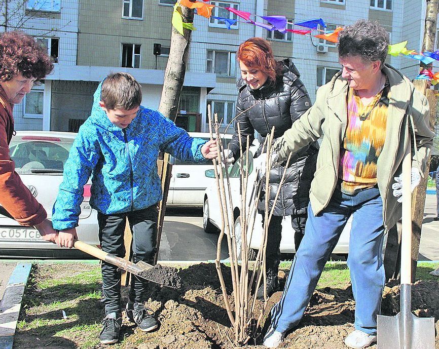 Ароматы жасмина