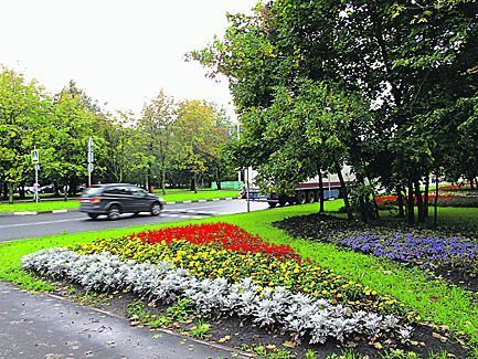 Улучшаем транспорт и экологию