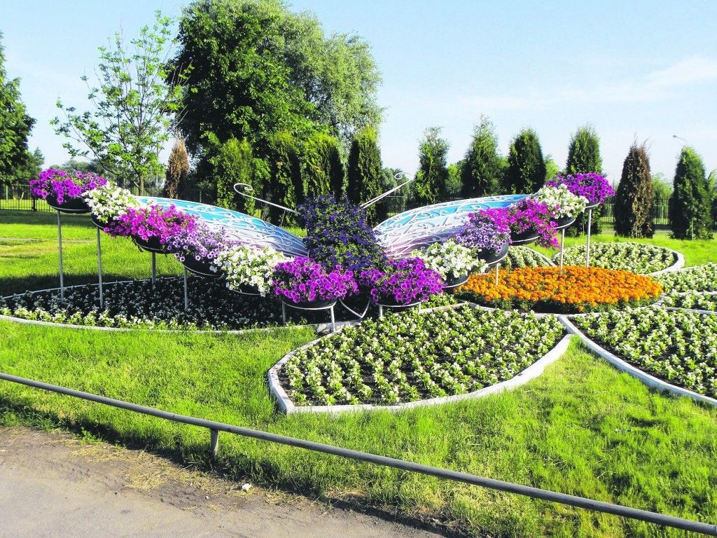 Цветы в нашей жизни
