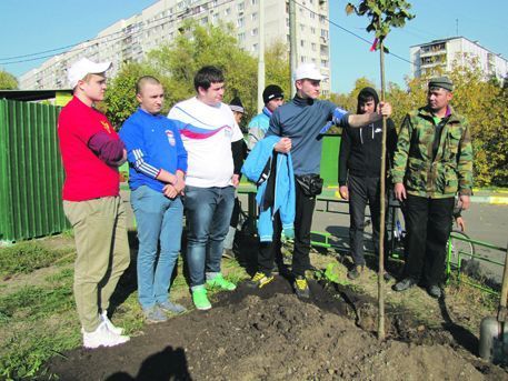 Украсили свой район зеленью