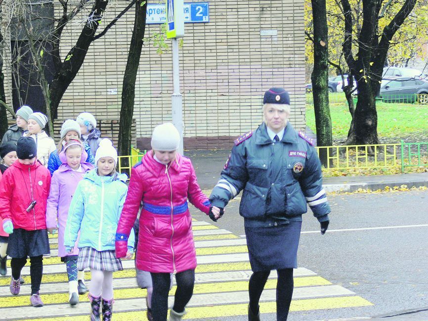 «Зебре» верь, но будь настороже