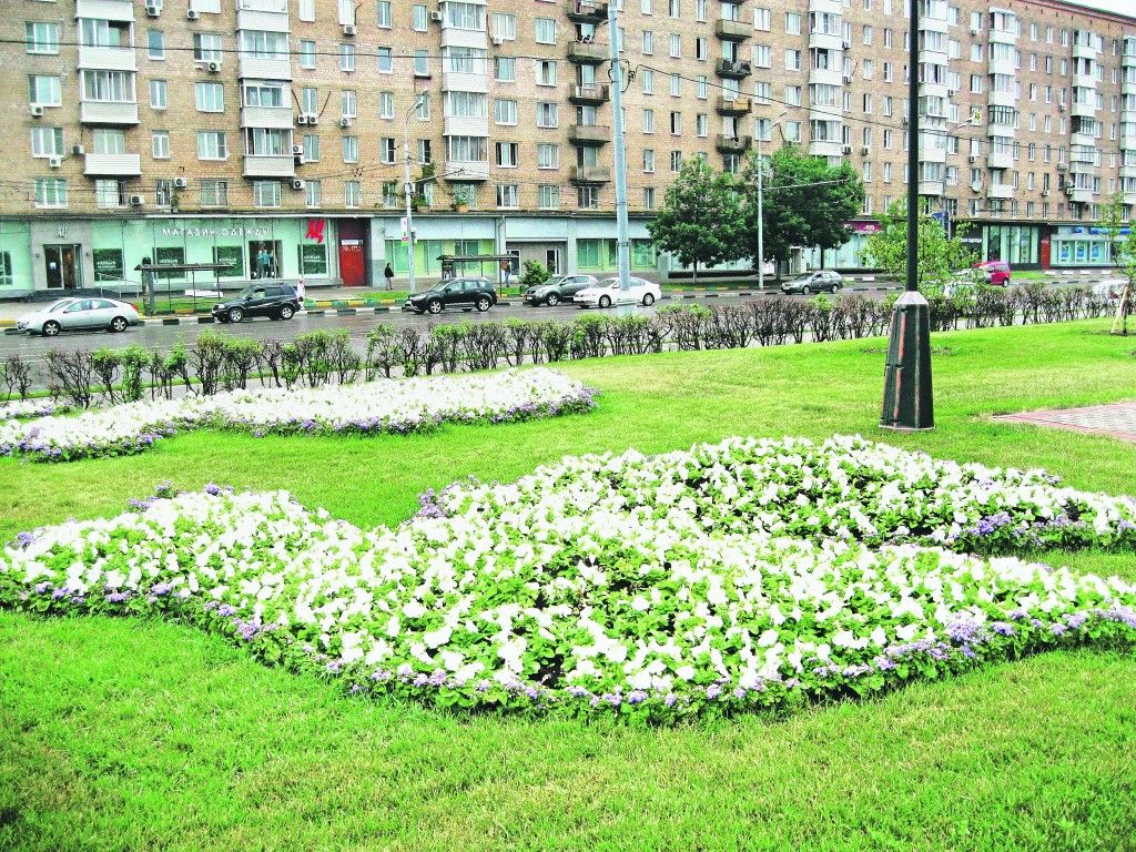 Дорогу осилит идущий