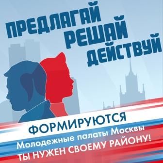 В Москве появятся Молодежные палаты районов