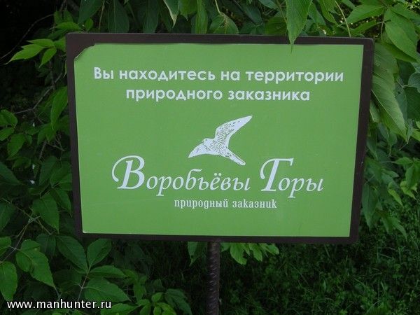 На Воробьевых горах проведут противооползневые мероприятия