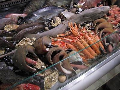 Сегодня в центре Москвы откроется самый дешевый рыбный рынок