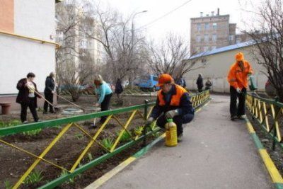 В Донском районе жители выйдут на субботник