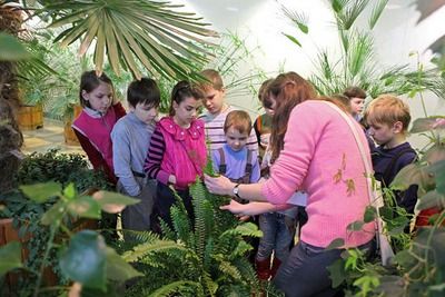 В царицынских оранжереях пройдут экскурсии «Ветка Палестины»