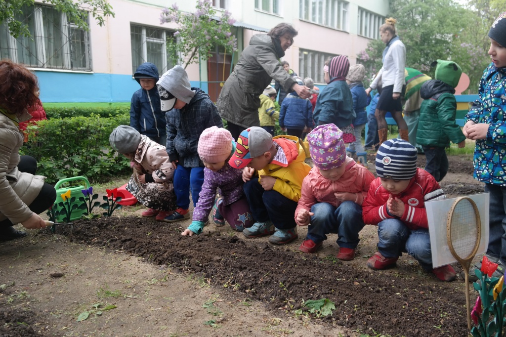 Воспитанники детского сада «Волшебная страна» присоединились к общегородской акции «Миллион деревьев».