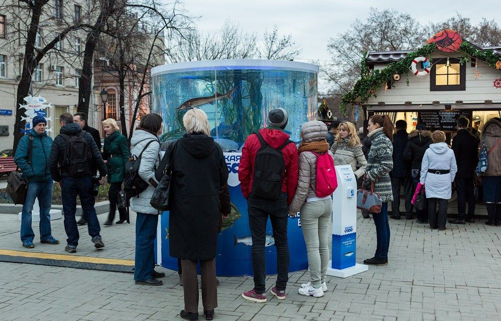 С 22 по 28 апреля на семи центральных площадках (51 шале) впервые прошёл Всероссийский фестиваль «Рыбная неделя». С 22 по 28 апреля на семи центральных площадках (51 шале) впервые прошёл Всероссийский фестиваль «Рыбная неделя».