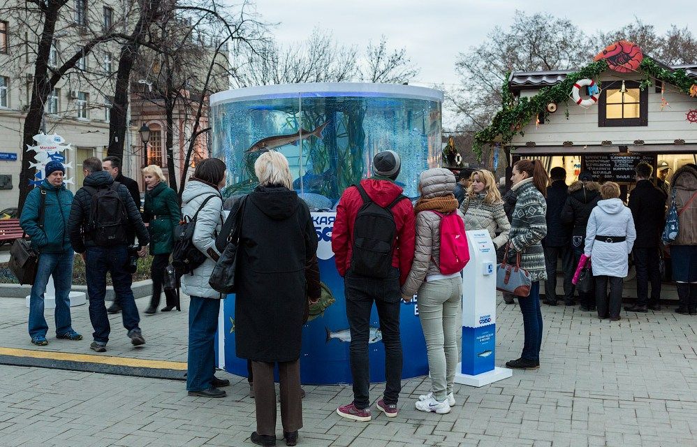 С 22 по 28 апреля на семи центральных площадках (51 шале) впервые прошёл Всероссийский фестиваль «Рыбная неделя».