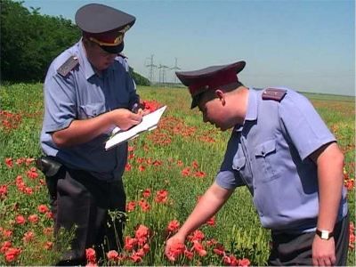 В Южном округе задержаны подозреваемые в хранении наркотиков, а также организатор притона