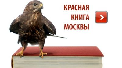 Красную книгу Москвы обновят к 2016-му году