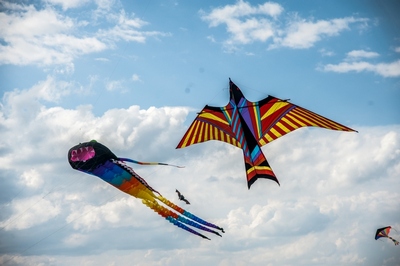 В Москве пройдет фестиваль воздушных змеев