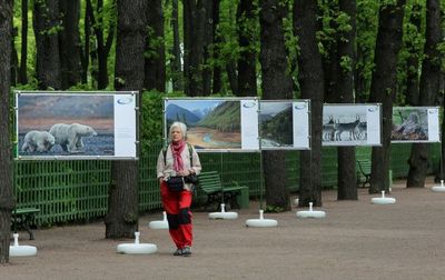 57% горожан проголосовали за проведение экологических выставок в парках города
