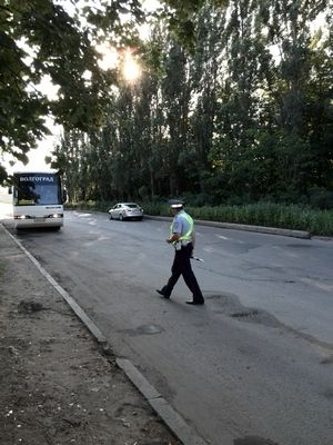 За четыре дня мероприятия «Автобус» выявлено больше тысячи нарушений ПДД