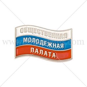 Кем хотят стать члены Молодежной палаты