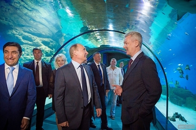В Москве открылся центр океанографии и морской биологии «Москвариум»