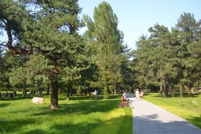 Фоторепортаж. Парк «Сосенки» в Царицыно