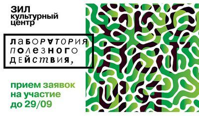 Проект для подростков «Лаборатория полезного действия. Экология»