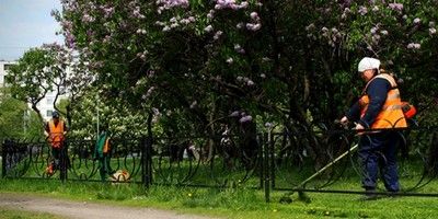 Какие дворы озеленят будущей весной решат москвичи на портале «Активный гражданин»