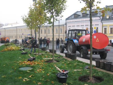 «Активные граждане» озеленили центр столицы