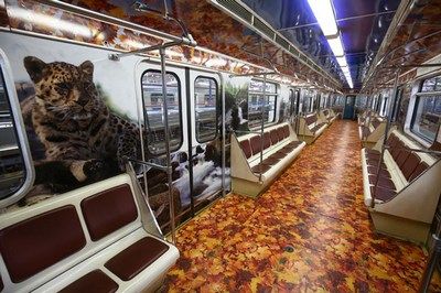 В столичном метрополитене курсирует поезд «Полосатый экспресс»