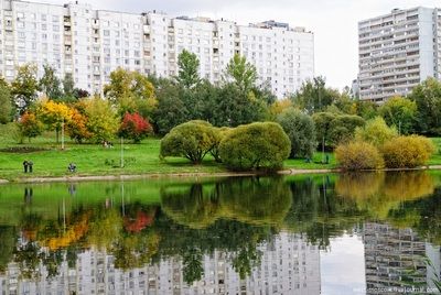 Где пройдет озеленение этой осенью жители Московречье-Сабурово выбрали на портале «Активный гражданин»