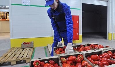 Агрокластер «Фуд Сити» в Москве — пример цивилизованной оптовой торговли продуктами