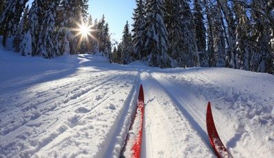Две лыжные трассы отроют этой зимой в районе Братеево ЮАО