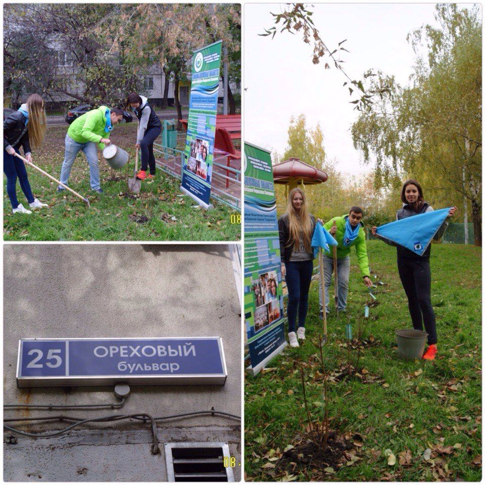 Члены Молодежной палаты района Орехово-Борисово Северное приняли активное участие в акции «Миллион деревьев».