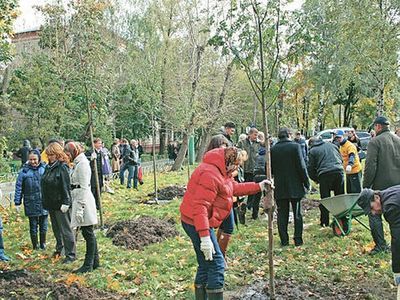 Акция «Миллион деревьев» перевыполнила план
