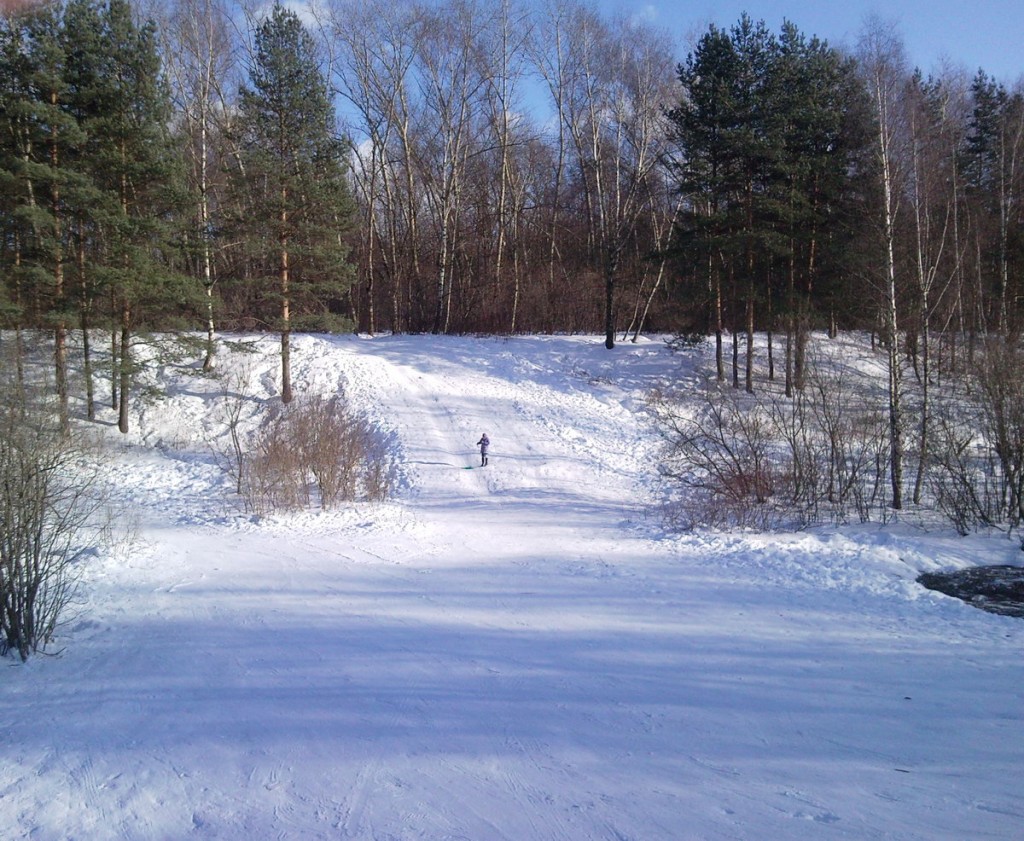 Городские джунгли Бирюлева