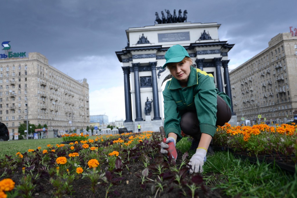 Москвичи выберут цветы для украшения города