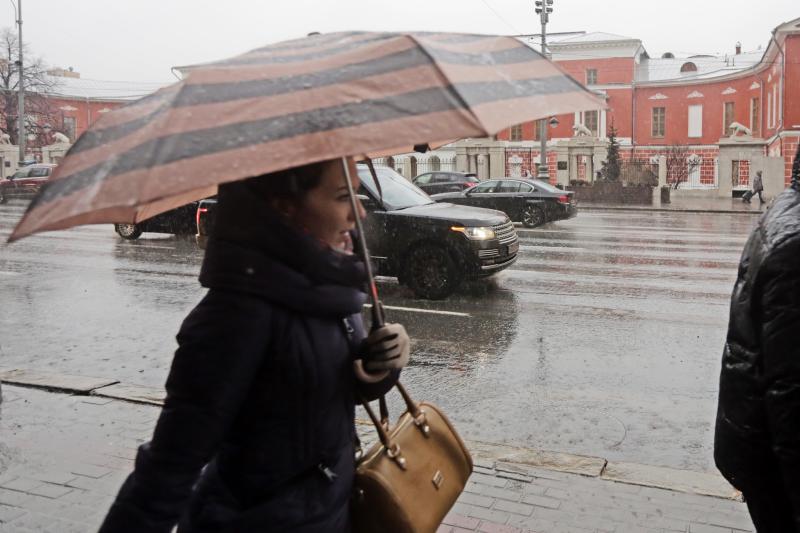 В Москве на смену аномальному дождю ночью придет мороз