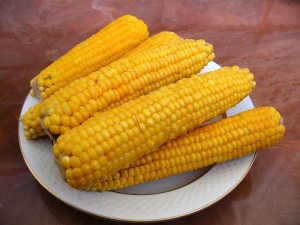 РФ запретит ввоз сои и кукурузы из США кукуруза