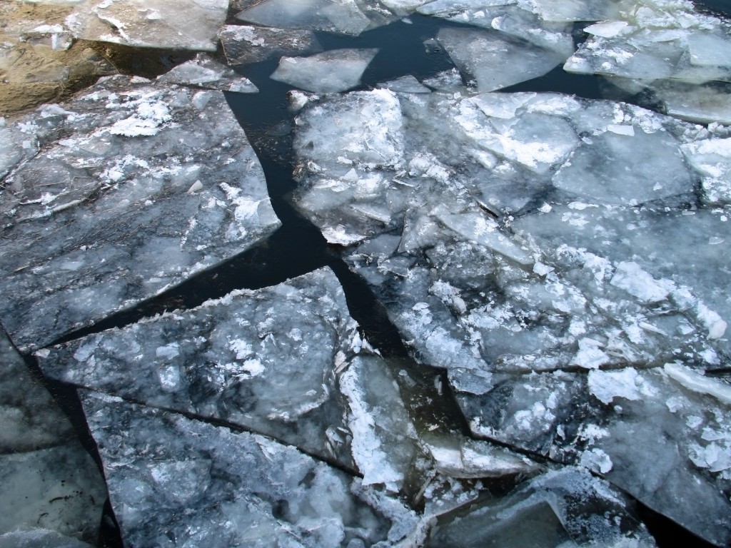 Сотрудники МЧС спасли мальчика из-подо льда Москвы-реки