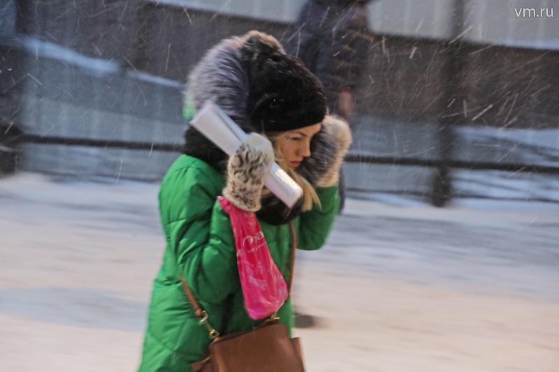 Гидрометцентр: В среду в Москве снова пойдет снег