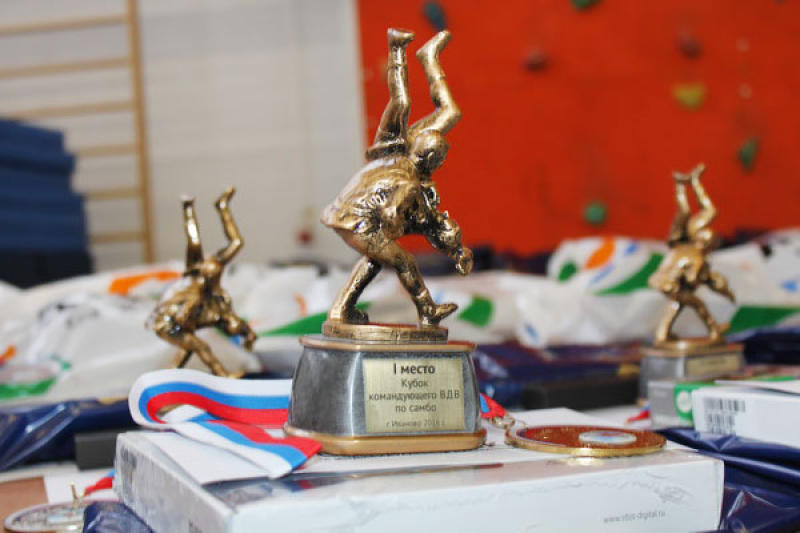 Москвичи получили призовые места на Кубке командующего ВДВ по самбо