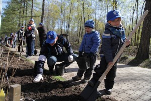 Общегородские субботники