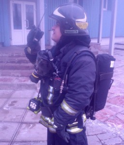 В МЧС ЮАО рассказали о лучших спасателях Южного округа Москвы В МЧС ЮАО рассказали о лучших спасателях Южного округа Москвы